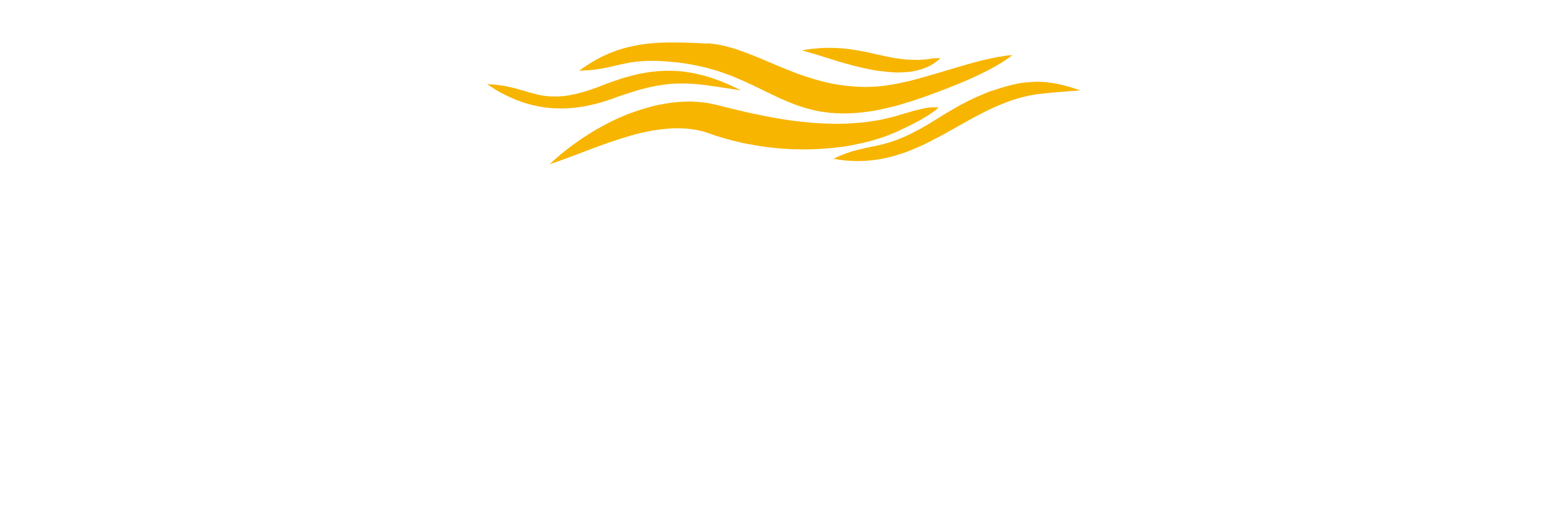 NETWORKARK LTD