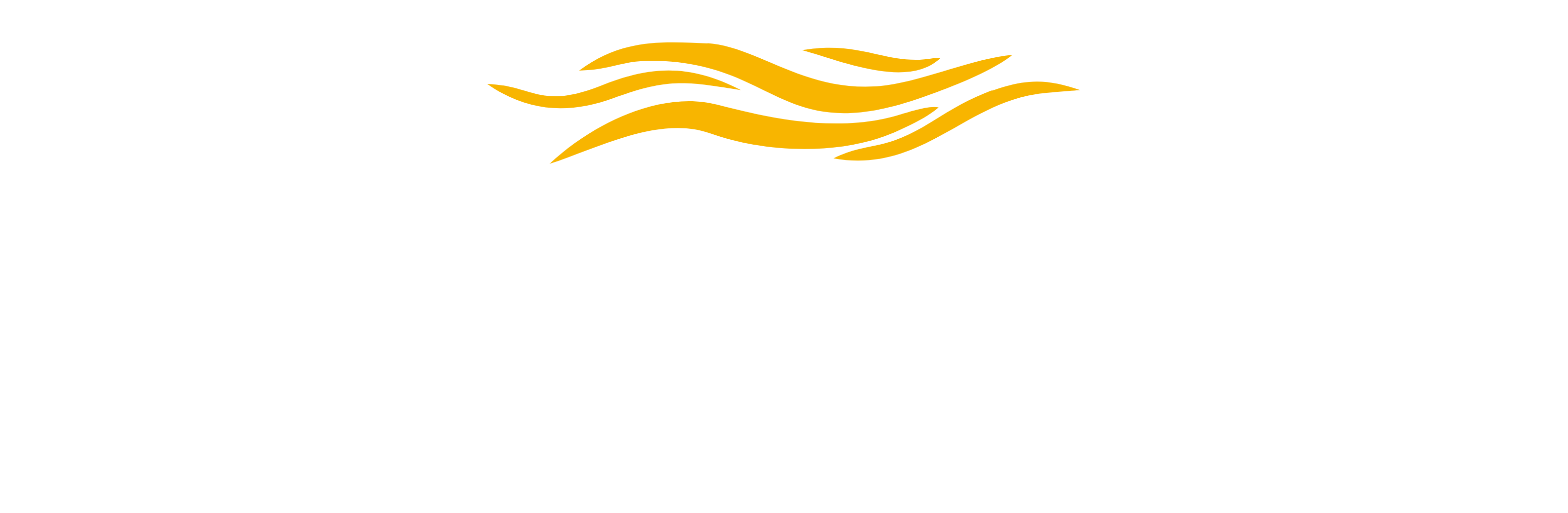 NETWORKARK LTD