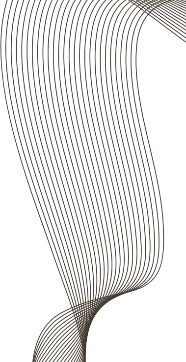 support v1 shape2 1